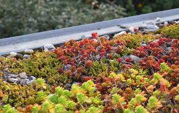 the cost of Glynhafren green roof installation