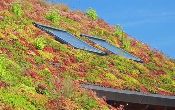 Glynhafren living roof systems